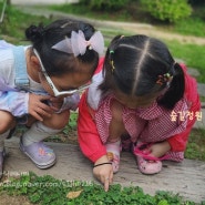 장흥 아이랑 가볼만한 곳, 양주 숲길정원 식물원 놀이터