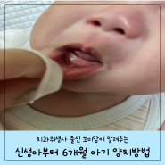 신생아, 6개월아기 양치(치과위생사출신 엄마의 꿀팁 대방출)