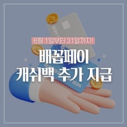 6월 배꼽페이 캐쉬백 추가 지급 안내드려요!