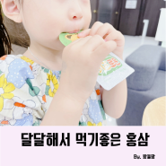 유아홍삼 밥안먹는아이 키즈로운으로 면역력 도움