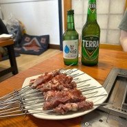 [강남]회식하기에도 좋은 양꼬치 맛집 '한성양꼬치'