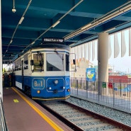 부산 해운대 블루라인파크 해변 열차 예약 및 이용방법 타는곳 가격