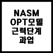 근육량을 늘리기 위한 전략 NASM OPT 모델 근력단계 훈련 개념 정리
