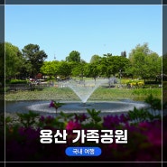 서울여행, 피크닉가기 좋은 용산가족공원, 전체적인 탐방 & 사진촬영 후기 / 사진 스팟 한 가득!