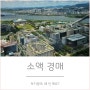 소액 경매 보다 소액 공매 로 바꾼 이유 (토지공매 재테크 기록기)