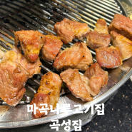 마곡나루고기집 목살이 입에서 사르르 고기가 부드러운 '곡성집'