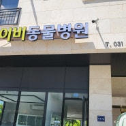 김포한강신도시 구래동 아이비 동물병원 대기실 로비 대기의자