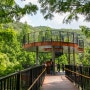 대전 근교 여행 청주 미동산 수목원 걷기 좋은 숲