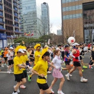 2025 서울 동아마라톤 접수 오픈, 역시 세계적 플래티넘 마라톤 대회