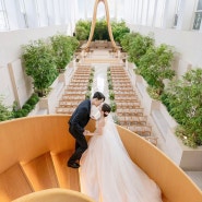 [WEDDING] 영희사진관 VS 마일드플로우