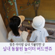 청주 아이랑 가볼만한 곳:: 동물교감체험 청주실내동물원 버드앤쥬