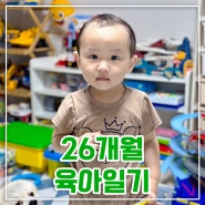 26개월 육아일기 : 핑크퐁아기퍼즐 장난감추천 감기와의전쟁