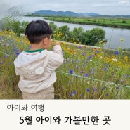 22개월 아이와 가볼만한 곳 경남 지역 공원 체험관 동물원 꽃구경