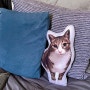 실물 사진 고양이 쿠션 제작 | 예술가의선물가게