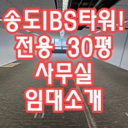 송도IBS타워 전용 약30평 사무실 임대소개
