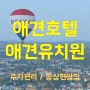 부산진구 송상현광장 애견호텔 애견유치원 애견카페추천 저렴임대료, 50평대 상가임대 무권리