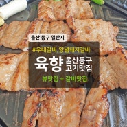 울산 동구 일산지 고기 맛집 육향 점심특선 돼지갈비 후기