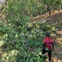 해질녁에 화정산-도내동산-도내울산 라이딩