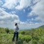 [등산] 소백산 / 어의곡탐방로 - 비로봉 - 국망봉 - 상월봉 - 늦은맥이재 - 을전탐방로
