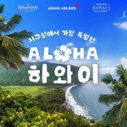 Aloha 지구상에서 가장 특별한 곳 하와이