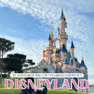 파리 디즈니랜드(3) 프리미어 얼티밋 액세스 티켓 가격 및 추천 여부, 어트랙션 후기