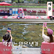책읽는 맑은냇가 청계천 광화문 책마당 서울 야외도서관