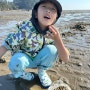 대전 근교 아이와 가볼만한 곳 서천 선도리갯벌체험장 맛조개캐기 체험