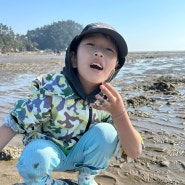 대전 근교 아이와 가볼만한 곳 서천 선도리갯벌체험장 맛조개캐기 체험