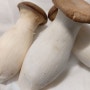 새송이버섯 큰느타리버섯 재배 방법 고르는 방법