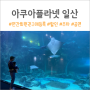 아쿠아플라넷 일산 연간회원권 구매 후기 (feat. 주차, 할인, 공연시간표)
