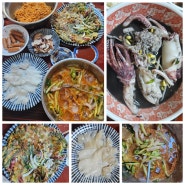 한치회 & 한치물회 & 한치부침개 ~ 알배기 한치 콩나물 국밥