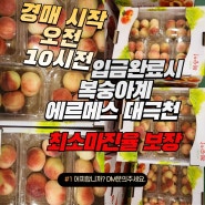 김천복숭아, 대석자두 대극천 저렴하게 살 수 있는 방법