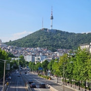 서울여행 | 이태원부터 경리단길까지 서울 용산구 여행