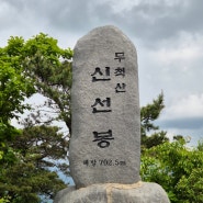 [경남/김해] 부산 근교 볼거리 천국 BAC 명산 100+ '무척산' 등산 후기