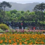 지리산 허브밸리_ 남원 바래봉 철쭉과 다양한 꽃을 볼 수 있는 전북 식물원