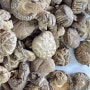 생표고버섯냉장보관법 좋은 표고버섯 고르는 법 정리