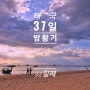 [태국 37일간의 방황기] 32일째 끄라비 오토바이 대여 Mr. Kord Rental Klong Mauang Beach Ruean Siam Bottoms Up Bar