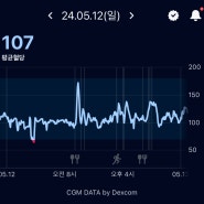 혈당일기 3일차. 야간 저혈당, 혈당 스파이크 첫 목격