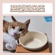 고양이 밥그릇 높이조절 포인더오즈 반려식기 사용후기