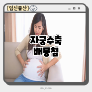 임산부 자궁수축 임신초기 임신막달 증상 출산 후 배뭉침 느낌 원인