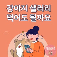 강아지 샐러리 그냥 줘도 될까요