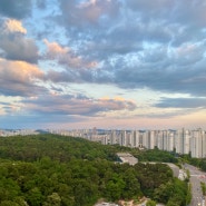 동탄 행복주택 결과와 경탁주 성공