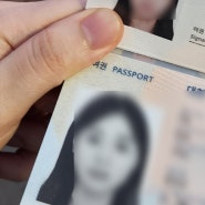 여권 야간 발급 서비스 :: 연차 반차 없이 구리시청에서 재발급 여권 수령한 후기