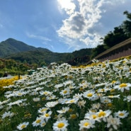 산청 동의보감촌