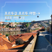 포르투갈 자유 여행 포르투 일정 추천 지구마불 세계여행2