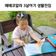 4살아기 생활동화 베베코알라로 바른 습관과 생각을 배워요.