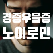 노이로민 불안 무기력 우울 증상완화_아산 광은약국