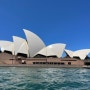 [호주신혼여행] 호주여행경비 6박 7일 비용 정리 + 호주여행 준비물