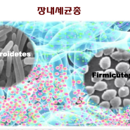 [부모로 부터 물려받는 두가지 유전자]