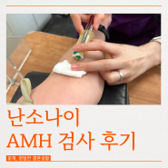 임신준비 30대 후반 난소나이 AMH 검사 비용 수치 실비